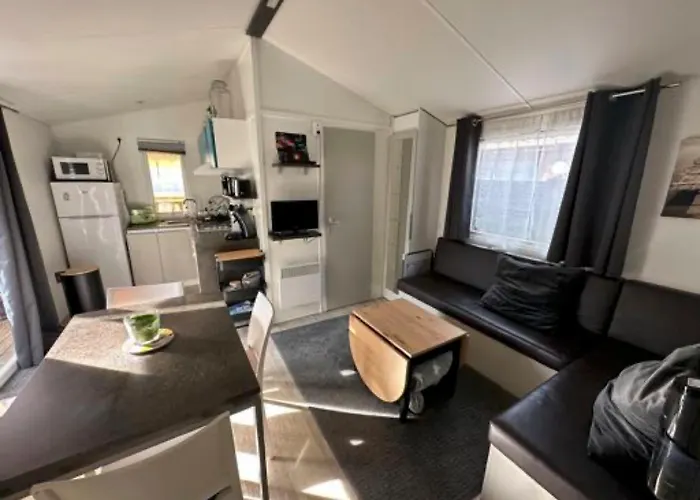 Mobil Home Moderne Avec Grand Terrasse